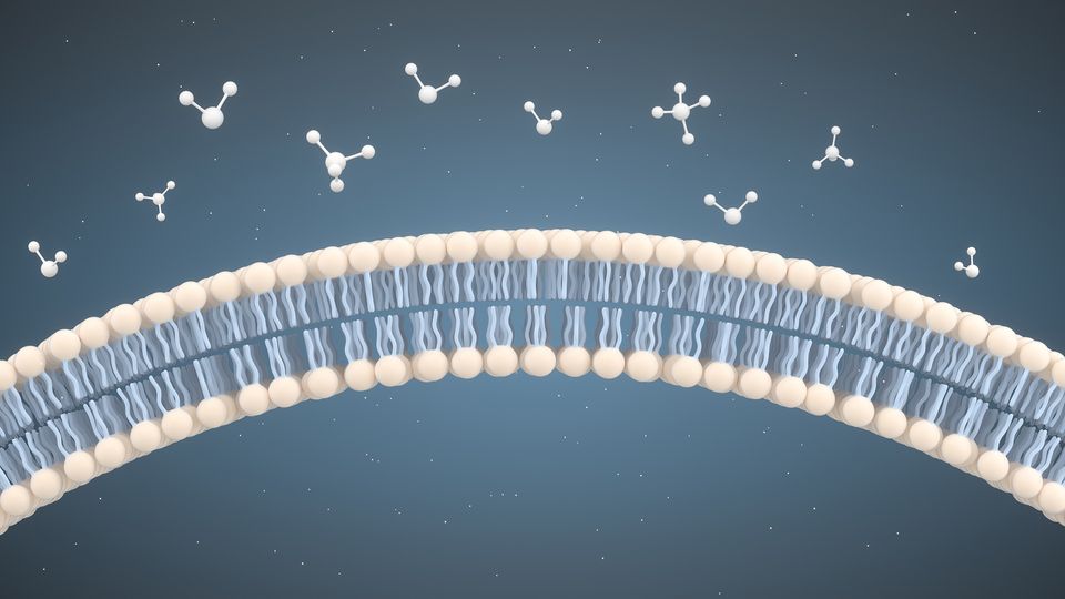 Illustration of small lipid nanoparticles interacting with a cell membrane against a dark background.