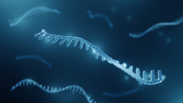 Render of a short RNA molecule in gray against a dark blue background containing more RNA molecules. 