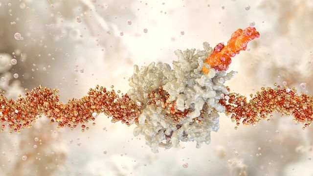 Illustration of protein binding an mRNA strand, advancing mRNA therapeutics with mass photometry. 