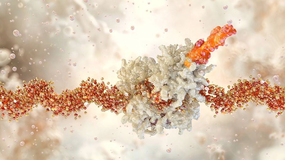 Illustration of protein binding an mRNA strand, advancing mRNA therapeutics with mass photometry.