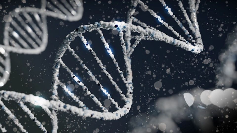 A 3D render of a DNA double helix made of blue, white, and silver molecules against a dark background.