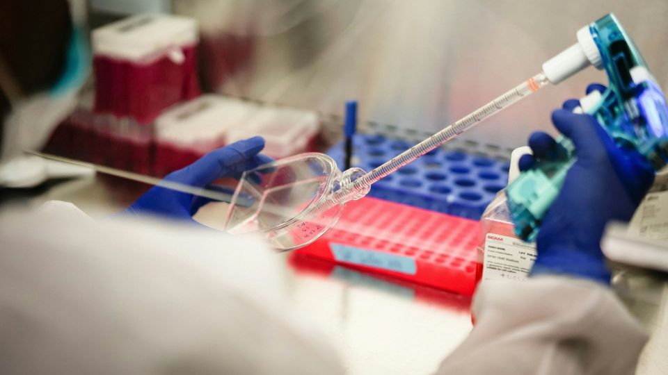 Laboratory researcher using a pipette and culture flask within a laboratory fume hood.