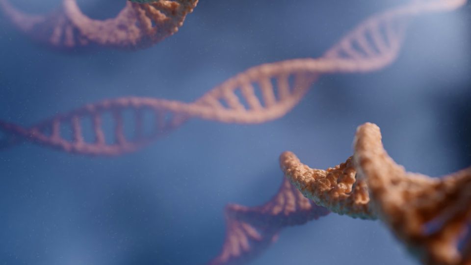 Illustration of three DNA double helix strands in orange against a hazy gray background.