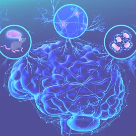 Digital illustration of a blue brain with three circular insets above showing a mouse, neurons, and molecular structures.