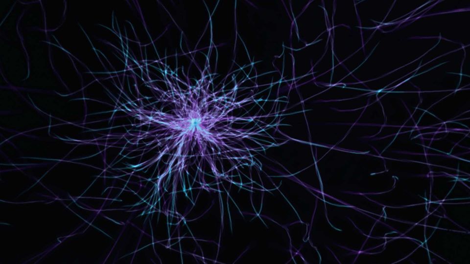 Microscopic view of a central cell or neuron nucleus with radiating fibrous tendrils.