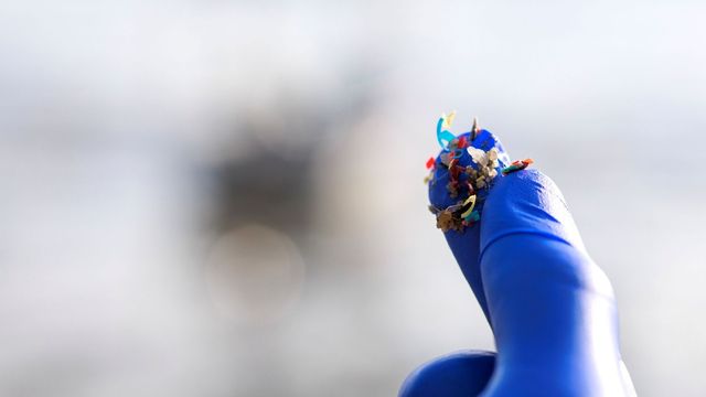 Microplastics collected on a gloved fingertip. 