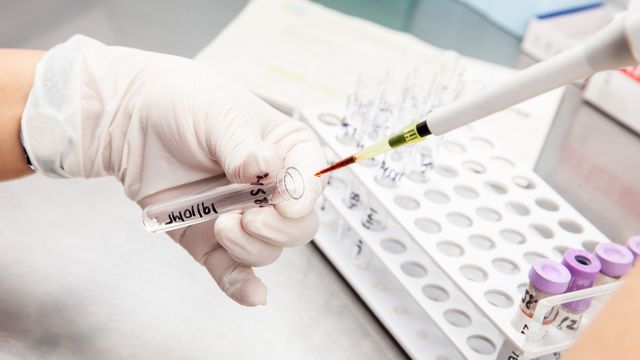 A researcher filling a plastic test tube with a pipette. 