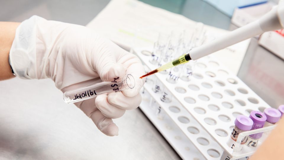 A researcher filling a plastic test tube with a pipette.