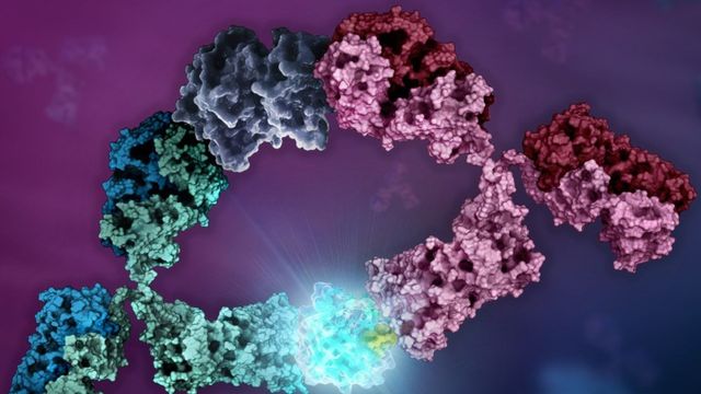 Lumit assay illustration showing protein complex interactions and luminescent signal detection. 