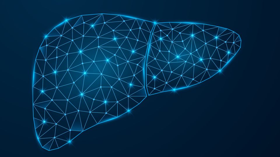 Blue geometric liver illustration formed by connected points and lines on a dark navy background.