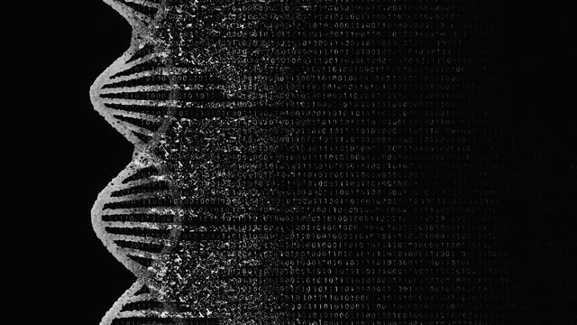 Black and white illustration of a DNA double helix unwinding and forming a binary code. 