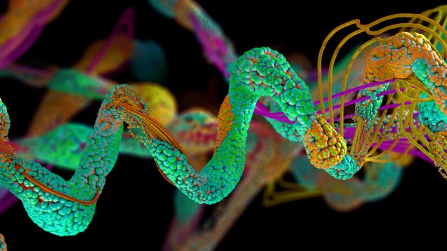 A protein folds into a coiled structure, with domains and modifications highlighted in bright colors. 