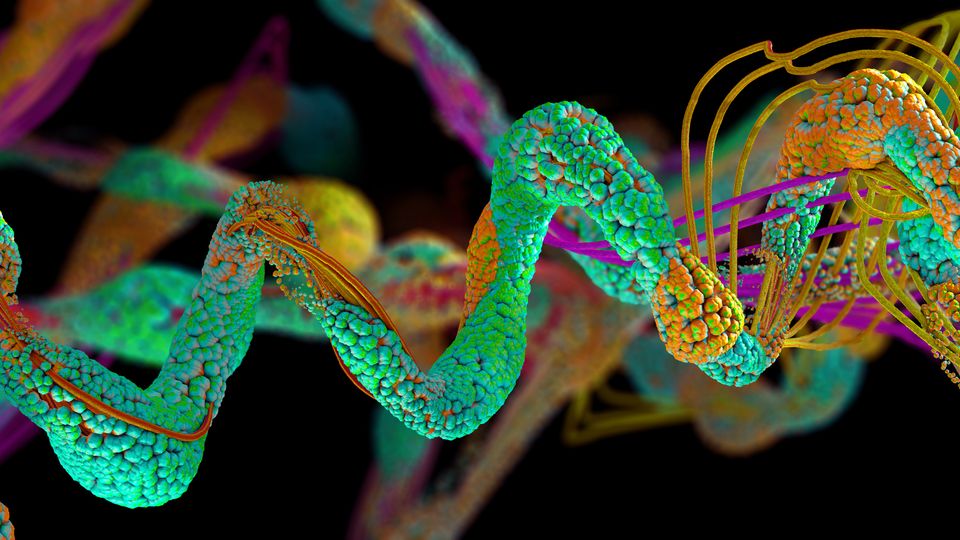 A protein folds into a coiled structure, with domains and modifications highlighted in bright colors.