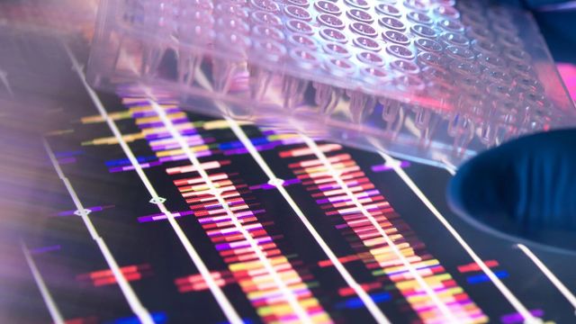 Microplate positioned over genomic data display for PCR-based gene expression analysis. 