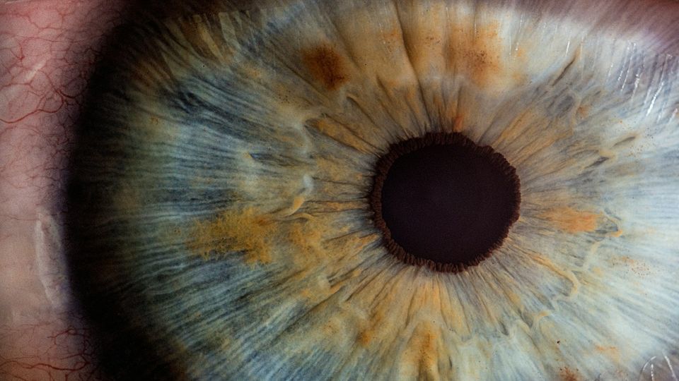 Close-up of a human eye, showing detailed structure of the pupil in black and iris in blues and browns.