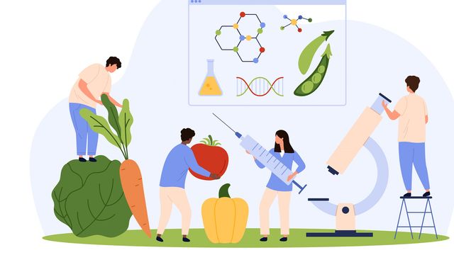 Illustration of scientists testing vegetables with DNA, lab symbols, and gene-editing tools in a lab setting. 