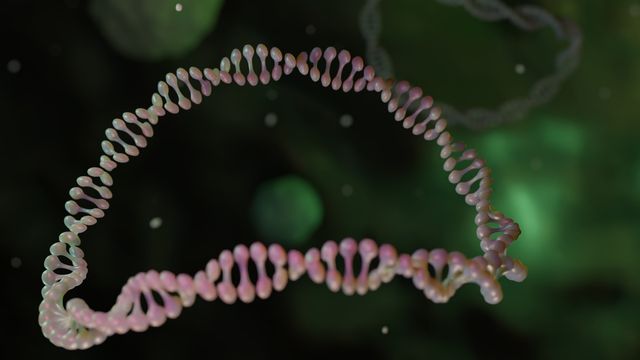 Pale pink plasmid floating against a dark green background. 