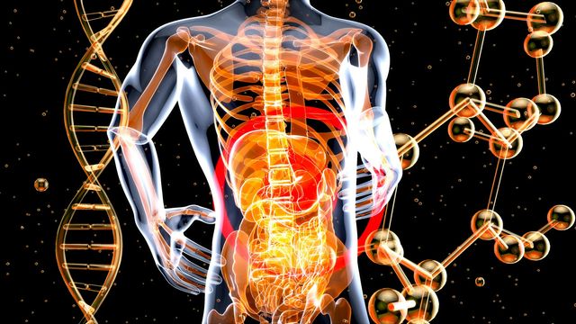 Gene Variants That Cause Crohn's Disease Identified