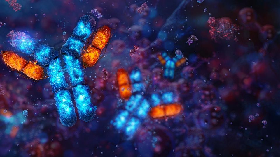 Illustration of glowing antibodies in blue and orange against a dark background.