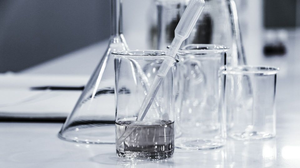 Glass laboratory apparatus with beakers, a flask, and a transfer pipette on a research lab bench.