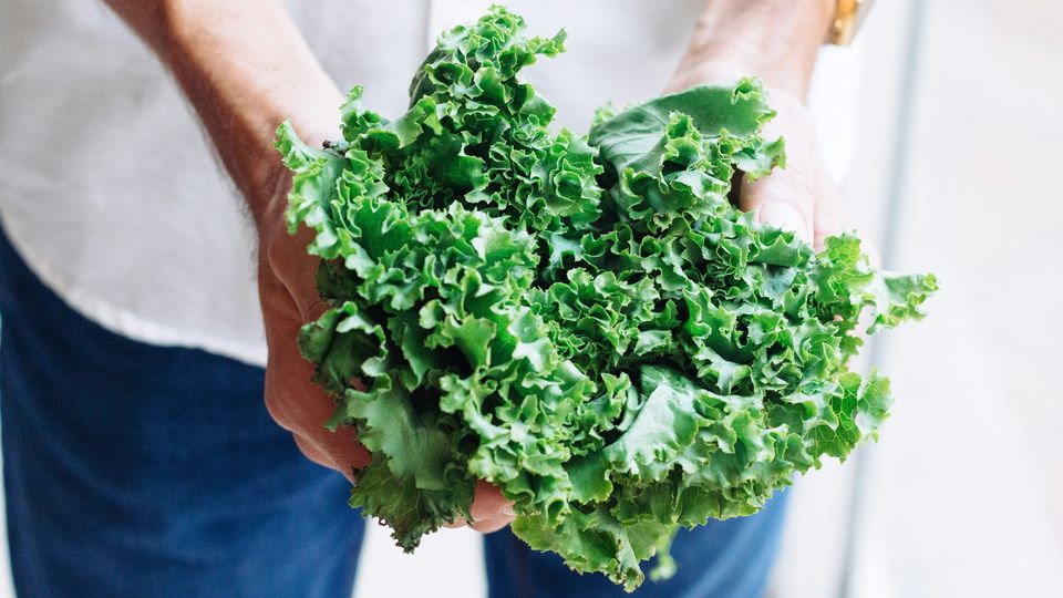 A person holding a large bunch of leafy kale.