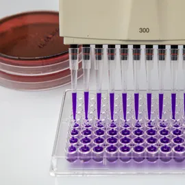 Oral Semaglutide Cuts 16.6% Weight in Phase 3 Trial