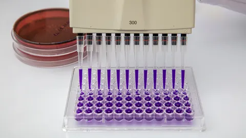 Multi-channel pipette dispensing purple reagent into a 96-well microplate for high-throughput drug discovery analytics.