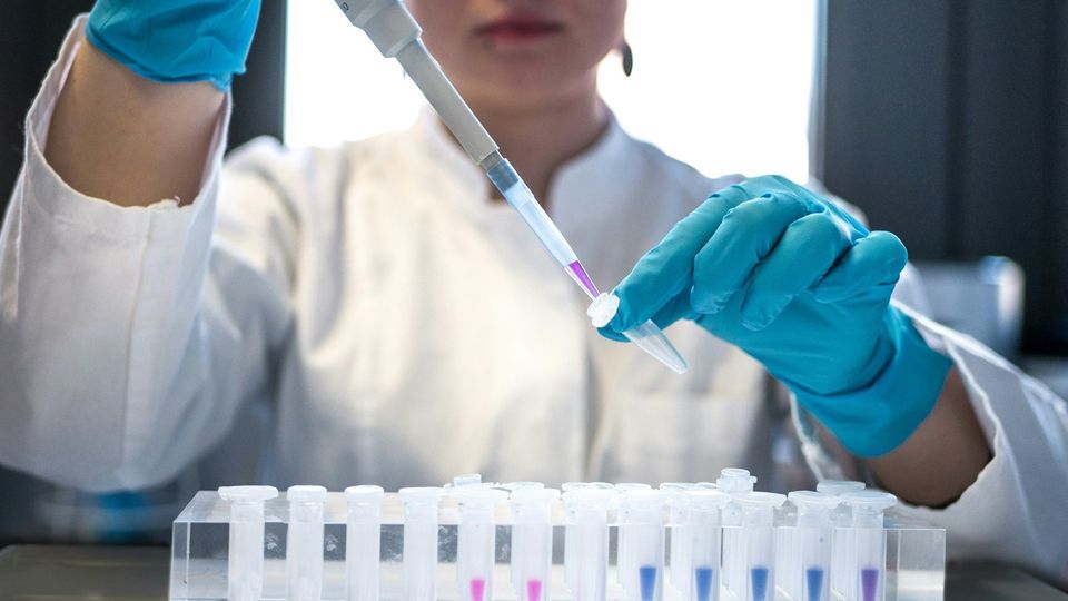 Scientist using a pipette to transfer a liquid sample into a microcentrifuge tube during laboratory research.