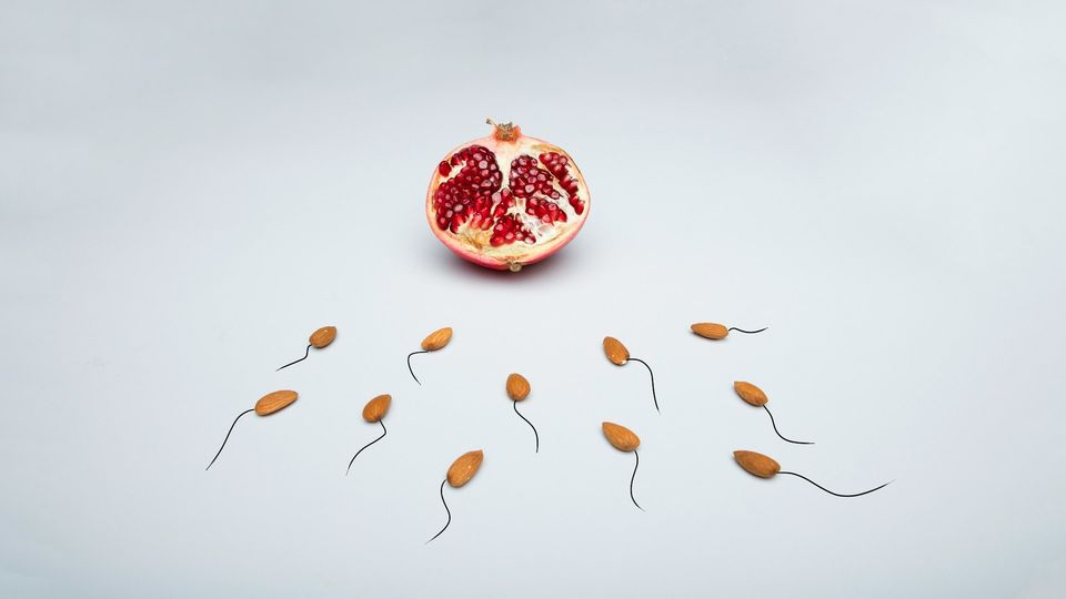 Illustration of a halved pomegranate with almond-shaped sperm, symbolizing fertility and reproductive health.