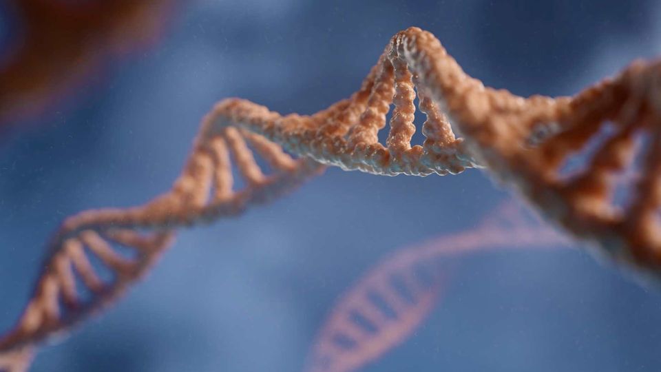 A 3D illustration of a double-helix DNA strand made up of orange molecules, against a gray background.