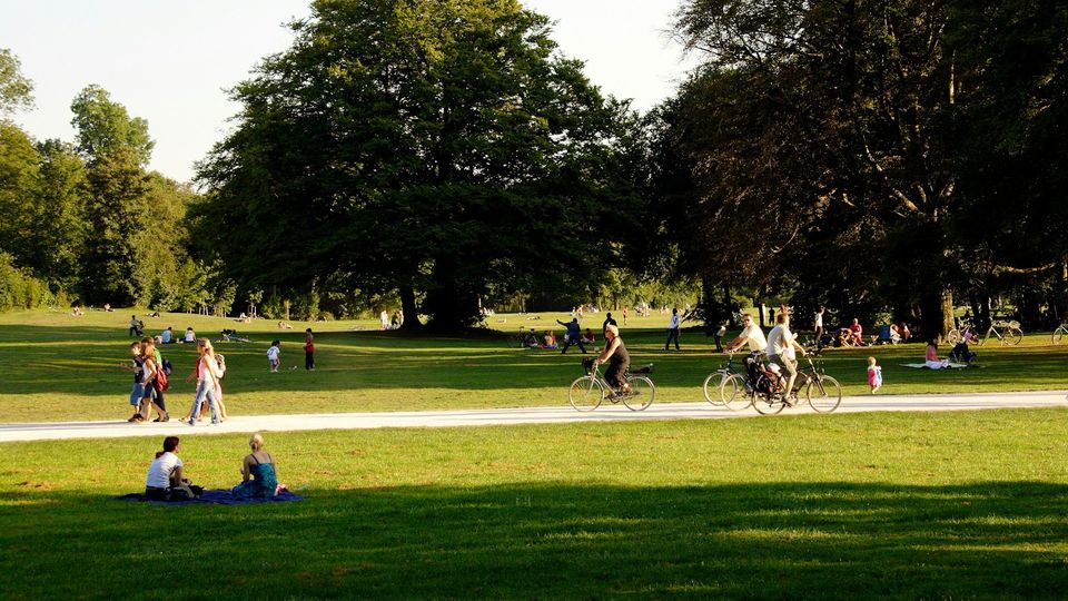 People walking, cycling, and relaxing in a sunny public park with expansive green lawns and mature trees.