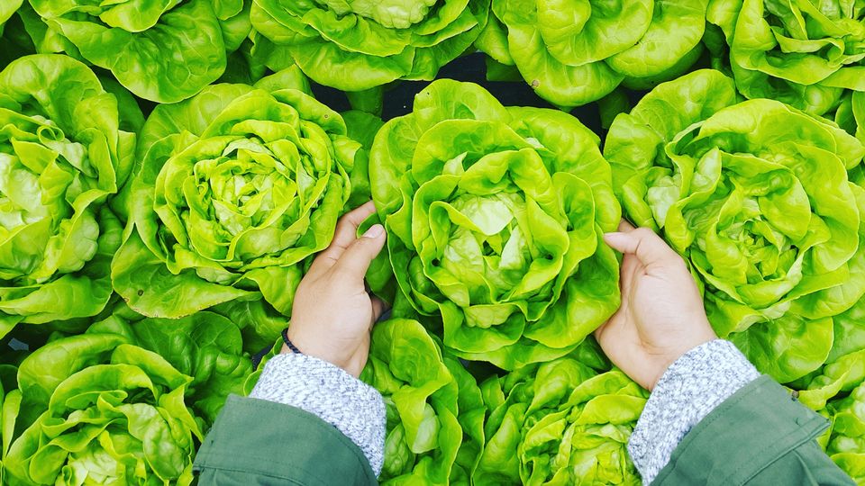 Diet and Dementia Risk: Anti-Inflammatory Eating May Help | Technology ...
