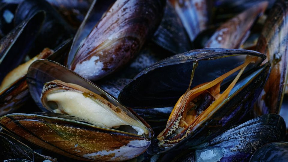 Close-up of a pile of open mussels stacked on top of each other.