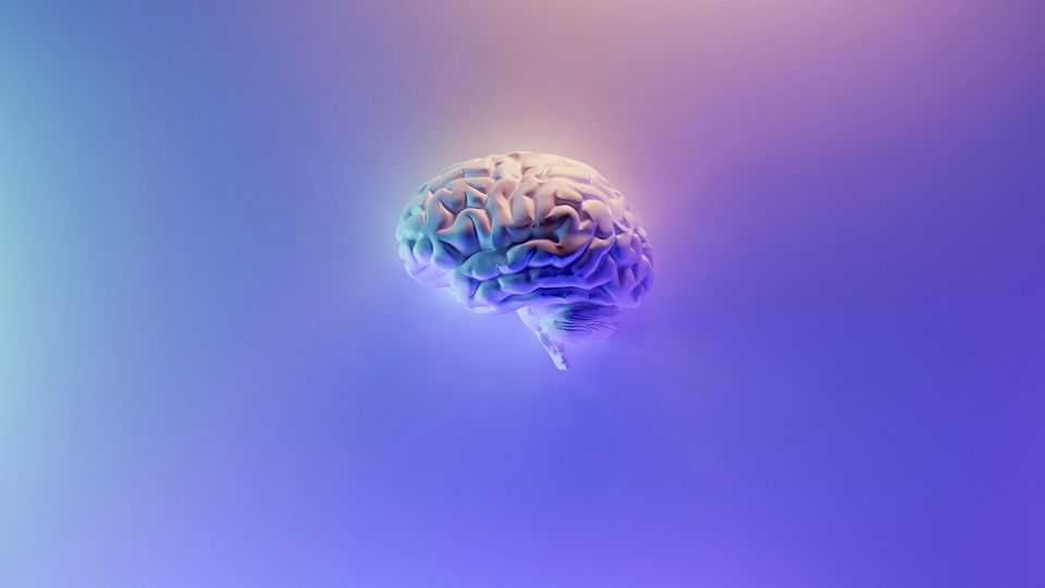 3D brain model on a blue and purple gradient background.