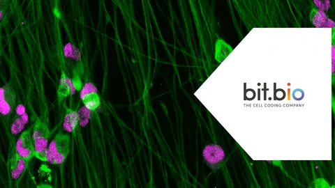 Fluorescent microscopy of neurons for neuroscience research