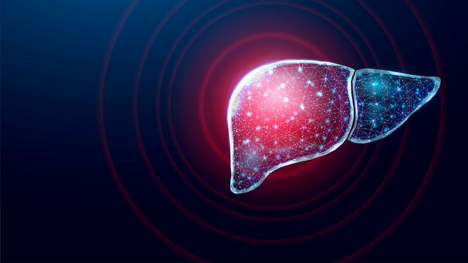 Illustration of a glowing human liver.