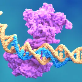 Illustration of DNA and a protein complex, representing molecular biology workflows for genetic research and analysis.