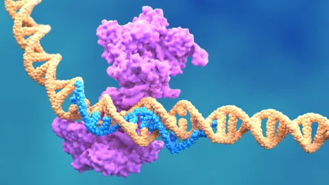 Illustration of DNA and a protein complex, representing molecular biology workflows for genetic research and analysis.