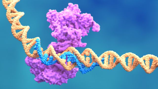Illustration of DNA and a protein complex, representing molecular biology workflows for genetic research and analysis. 