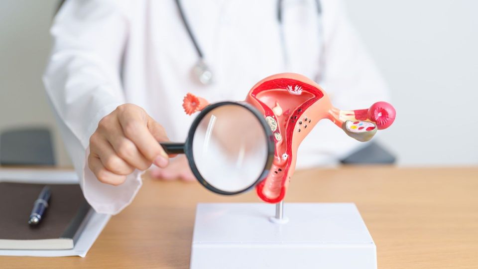 Doctor examining an anatomical uterus and ovary model with a magnifying glass.