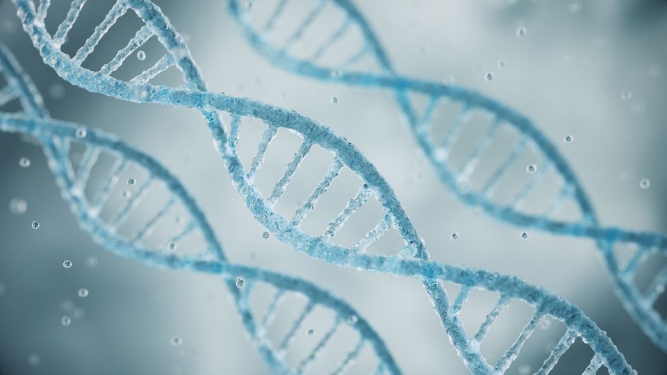 Close-up illustration of blue DNA double helices floating in a soft-focus, light blue scientific background.