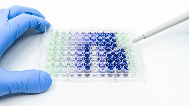 Gloved hand using a pipette to dispense samples into a 96-well microplate. 