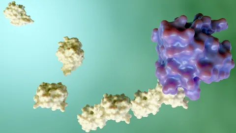Illustration of CRISPR protein complexes supporting next-generation CRISPR approaches for therapeutic development.