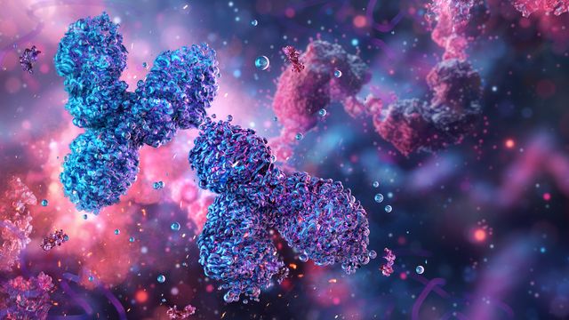 Illustration of antibody molecules for LC assay and impurity analysis in biopharmaceutical research. 