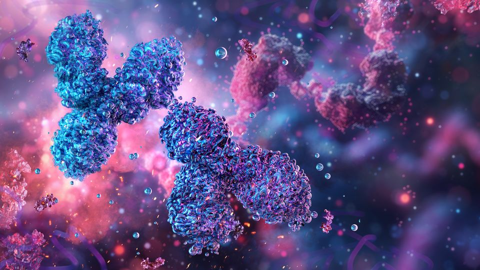 Illustration of antibody molecules for LC assay and impurity analysis in biopharmaceutical research.