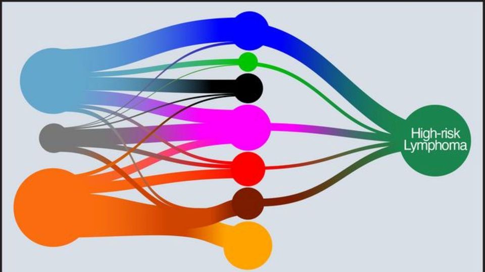 Illustration showing multiple B-cell lymphoma subtypes converging into a high-risk lymphoma classification.