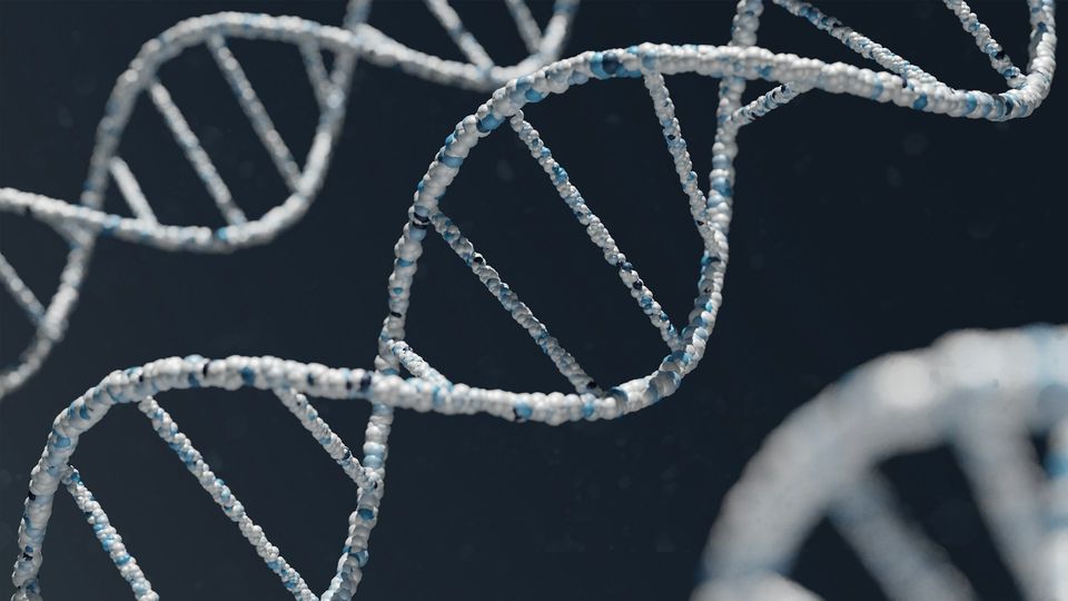 Illustration of a DNA double helix representing gene regulation. 