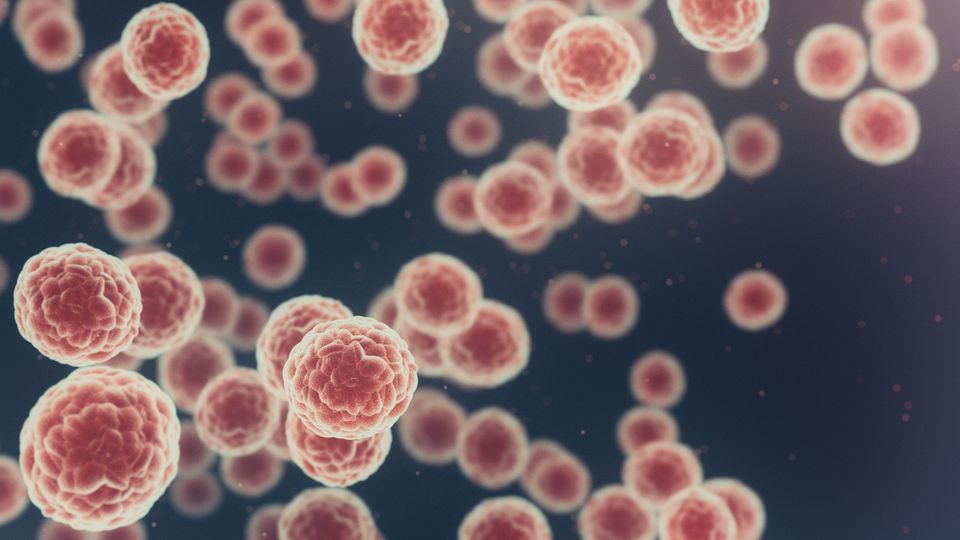 Illustration of cancer cells. The cells are orange and are floating on a black background.