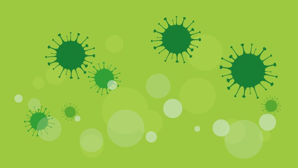 Illustration of SARS-CoV-2 particles. The particles are dark green and are floating on a bright green background. 