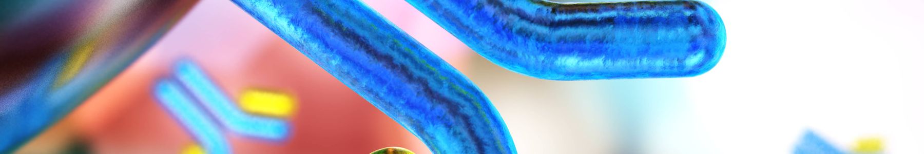 Illustration of antibodies binding to target molecules for antibody research and discovery. 